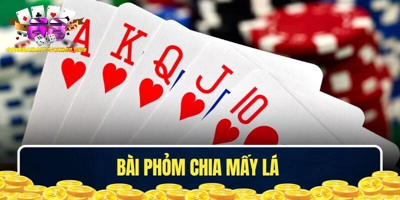 Bài phỏm chia mấy lá