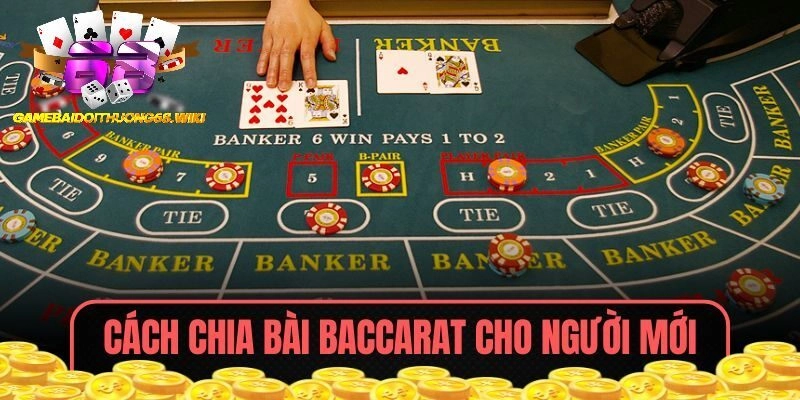 Cách chia game bài Baccarat cho người mới