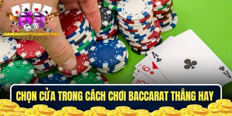 Cân nhắc chọn cửa cược là cách chơi Baccarat thắng hay