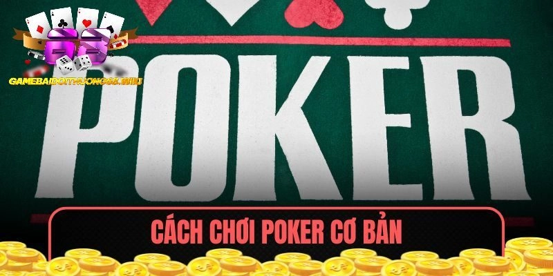 Hướng Dẫn Cách Chơi Poker Cơ Bản Dành Cho Tân Binh Cá Cược