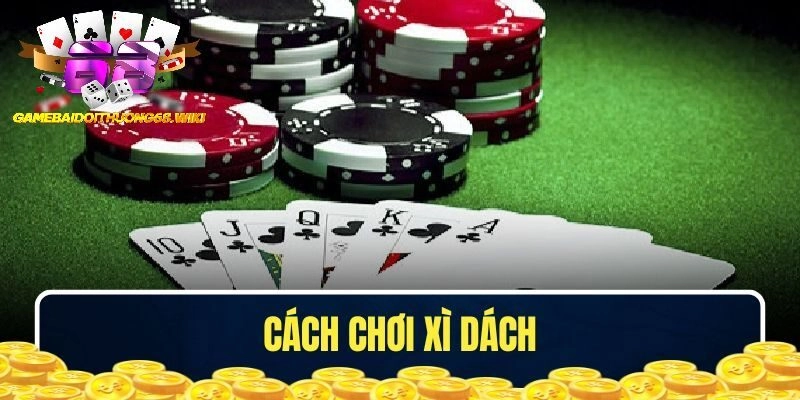 Cách chơi game bài Xì Dách cho người mới