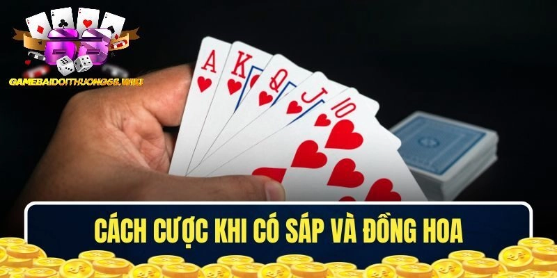 Chú ý cách cược bài khi sở hữu sáp và đồng hoa