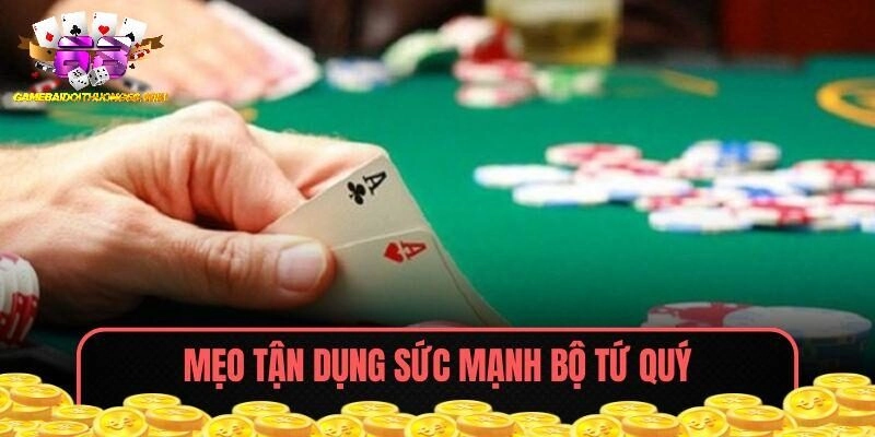 Mẹo tận dụng sức mạnh bộ tứ quý