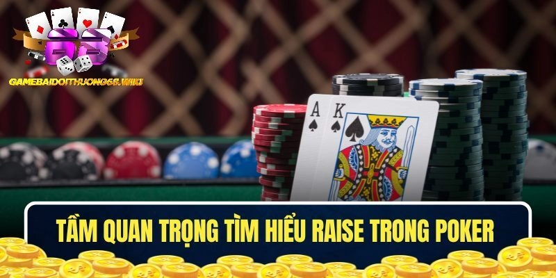 Raise trong Poker là gì, liệu có quan trọng 