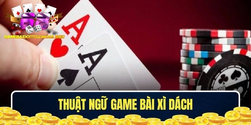 Giải đáp thuật ngữ chuyên môn cho người mới