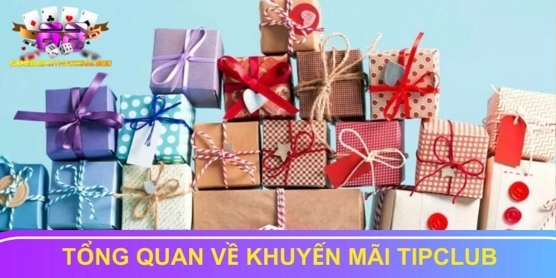 Tổng quan về chương trình khuyến mãi của Tipclub